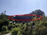 경매마당 공매정보 2025-06265-001의 시세, 권리분석, 상세정보