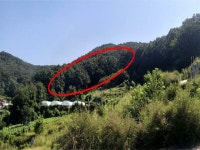 경매마당 공매정보 2025-06265-004의 시세, 권리분석, 상세정보