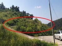 경매마당 공매정보 2025-06265-005의 시세, 권리분석, 상세정보