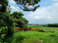 경매마당 공매정보 2025-06470-003의 시세, 권리분석, 상세정보