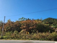 경매마당 공매정보 2025-06490-004의 시세, 권리분석, 상세정보