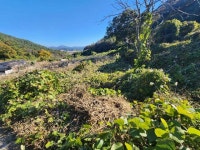 경매마당 공매정보 2025-06490-005의 시세, 권리분석, 상세정보