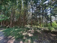 경매마당 공매정보 2025-06528-004의 시세, 권리분석, 상세정보