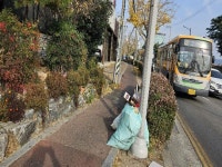 경매마당 공매정보 2025-06845-003의 시세, 권리분석, 상세정보