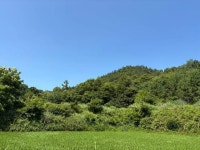 경매마당 공매정보 2025-07009-001의 시세, 권리분석, 상세정보