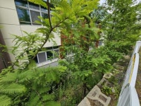 경매마당 공매정보 2025-07078-001의 시세, 권리분석, 상세정보