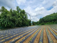 경매마당 공매정보 2025-07686-001의 시세, 권리분석, 상세정보
