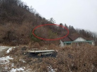 경매마당 공매정보 2025-07872-007의 시세, 권리분석, 상세정보