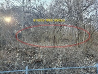 경매마당 공매정보 '2025-0800-055625'의 시세, 권리분석, 상세정보
