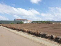 경매마당 공매정보 2025-08356-002의 시세, 권리분석, 상세정보