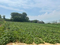 경매마당 공매정보 2025-08563-001의 시세, 권리분석, 상세정보