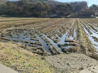 경매마당 공매정보 '2025-08765-001'의 시세, 권리분석, 상세정보