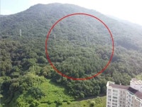 경매마당 공매정보 2025-09031-001의 시세, 권리분석, 상세정보