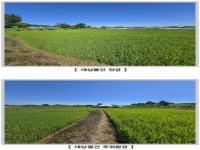 경매마당 공매정보 2025-09347-001의 시세, 권리분석, 상세정보