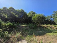 경매마당 공매정보 2025-09552-002의 시세, 권리분석, 상세정보