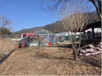 경매마당 공매정보 '2025-09670-007'의 시세, 권리분석, 상세정보