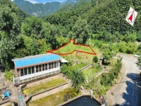 경매마당 공매정보 2025-1000-071461의 시세, 권리분석, 상세정보