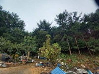 경매마당 공매정보 '2025-10942-001'의 시세, 권리분석, 상세정보