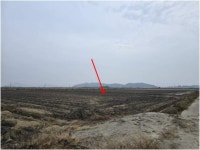 경매마당 공매정보 2025-11624-001의 시세, 권리분석, 상세정보