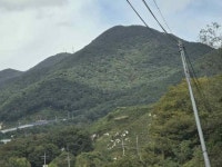 경매마당 공매정보 2025-11684-001의 시세, 권리분석, 상세정보
