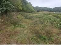 경매마당 공매정보 2025-12386-001의 시세, 권리분석, 상세정보