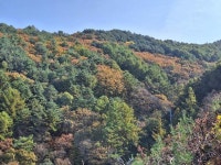 경매마당 공매정보 2025-12460-001의 시세, 권리분석, 상세정보