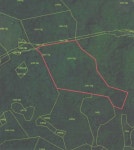 경매마당 공매정보 2025-12460-001의 시세, 권리분석, 상세정보