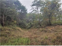 경매마당 공매정보 2025-12480-001의 시세, 권리분석, 상세정보