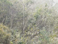 경매마당 공매정보 2025-12701-001의 시세, 권리분석, 상세정보