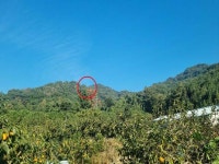 경매마당 공매정보 2025-13137-001의 시세, 권리분석, 상세정보