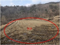 경매마당 공매정보 2025-13158-001의 시세, 권리분석, 상세정보