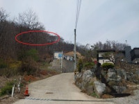 경매마당 공매정보 2025-13667-001의 시세, 권리분석, 상세정보