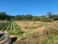 경매마당 공매정보 '2025-14852-001'의 시세, 권리분석, 상세정보