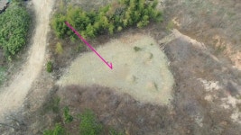 경매마당 공매정보 '2025-16656-001'의 시세, 권리분석, 상세정보
