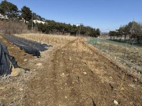 경매마당 공매정보 2025-17046-002의 시세, 권리분석, 상세정보