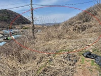 경매마당 공매정보 2026-02094-001의 시세, 권리분석, 상세정보