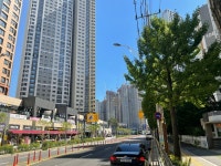 인천시 서구 신현동 루원e편한세상하늘채 의 시세, 권리분석, 상세정보