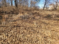 경매마당 경매정보 2025타경148[7]의 시세, 권리분석, 상세정보