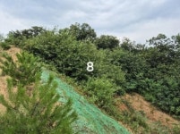 경매마당 경매정보 2024타경36164의 시세, 권리분석, 상세정보