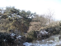 경매마당 경매정보 2024타경400007[1]의 시세, 권리분석, 상세정보