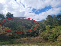 경매마당 경매정보 2024타경10303[1]의 시세, 권리분석, 상세정보