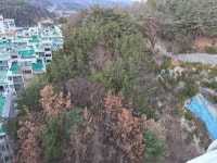 경매마당 경매정보 2025타경203[1]의 시세, 권리분석, 상세정보