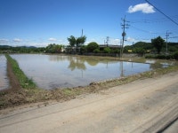 경매마당 경매정보 2020타경5794[3]의 시세, 권리분석, 상세정보