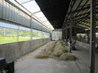 경매마당 경매정보 2020타경5794[4]의 시세, 권리분석, 상세정보