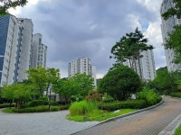 경상남도 창원시 의창구 봉림동 엘에이치피닉스포레 의 시세, 권리분석, 상세정보