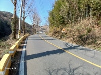 경매마당 경매정보 2024타경1207의 시세, 권리분석, 상세정보