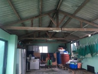 경매마당 경매정보 2024타경50301[2]의 시세, 권리분석, 상세정보