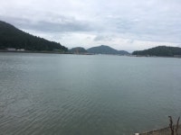 경매마당 경매정보 2024타경50301[2]의 시세, 권리분석, 상세정보