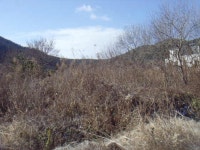 경매마당 경매정보 2024타경55917[3]의 시세, 권리분석, 상세정보