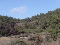 경매마당 경매정보 2024타경55917[3]의 시세, 권리분석, 상세정보